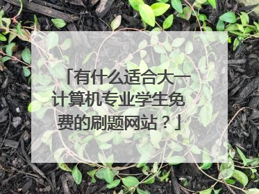 有什么适合大一计算机专业学生免费的刷题网站?