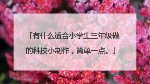 有什么适合小学生三年级做的科技小制作,简单一点。