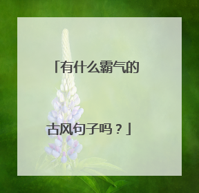 有什么霸气的古风句子吗?