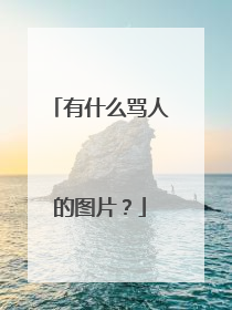 有什么骂人的图片？