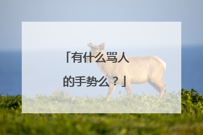 有什么骂人 的手势么？