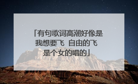 有句歌词高潮好像是 我想要飞 自由的飞 是个女的唱的