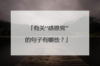 有关“感恩党”的句子有哪些?