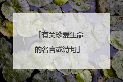 有关珍爱生命的名言或诗句