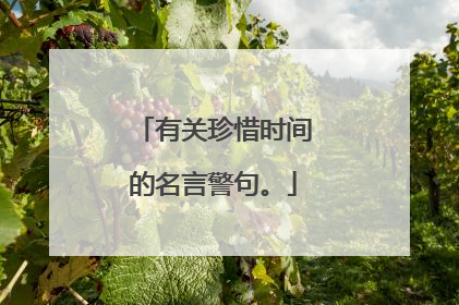 有关珍惜时间的名言警句。