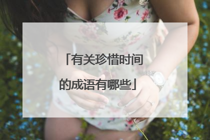 有关珍惜时间的成语有哪些