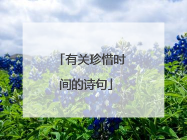 有关珍惜时间的诗句