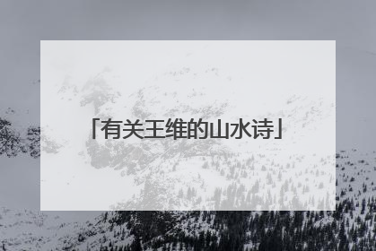 有关王维的山水诗