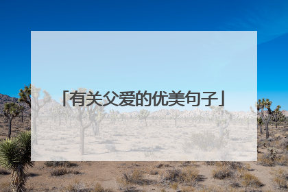 有关父爱的优美句子