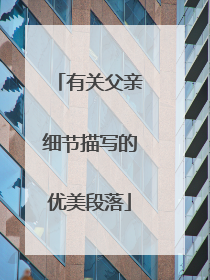 有关父亲细节描写的优美段落