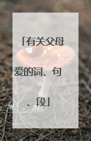 有关父母爱的词、句、段