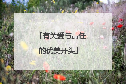有关爱与责任的优美开头