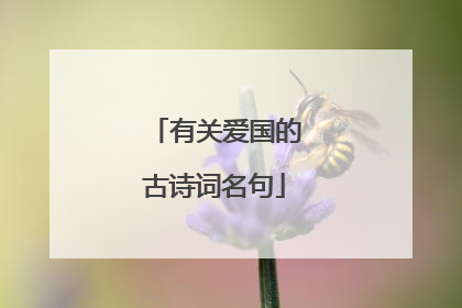 有关爱国的古诗词名句