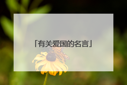 有关爱国的名言