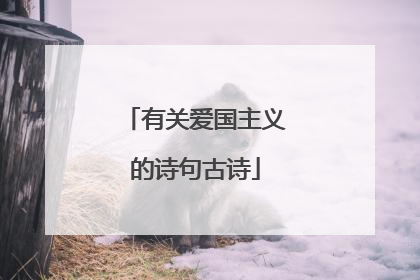 有关爱国主义的诗句古诗