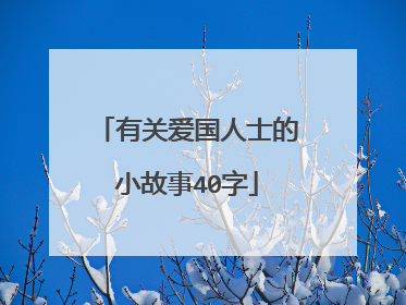 有关爱国人士的小故事40字