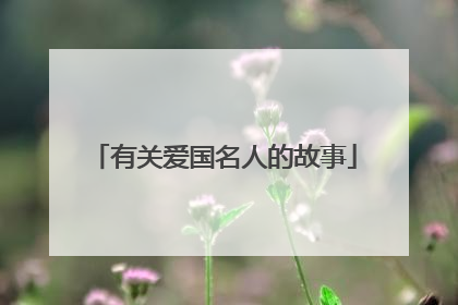 有关爱国名人的故事