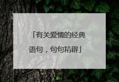 有关爱情的经典语句，句句精辟
