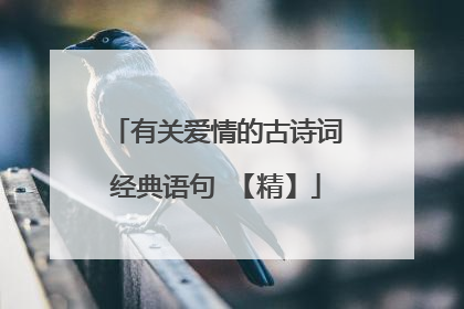 有关爱情的古诗词经典语句 【精】