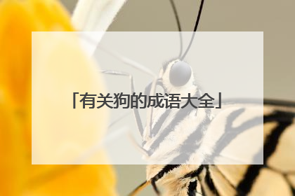 有关狗的成语大全