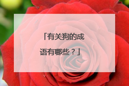 有关狗的成语有哪些？