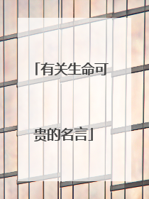 有关生命可贵的名言