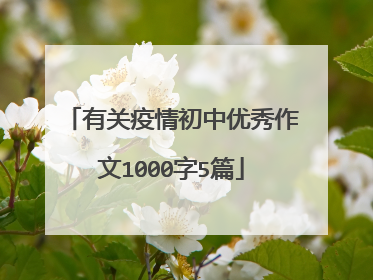 有关疫情初中优秀作文1000字5篇