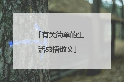 有关简单的生活感悟散文