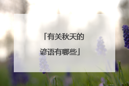 有关秋天的谚语有哪些