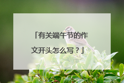 有关端午节的作文开头怎么写?