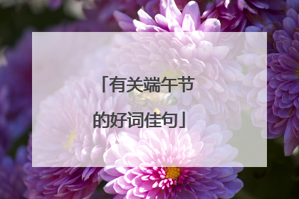 有关端午节的好词佳句