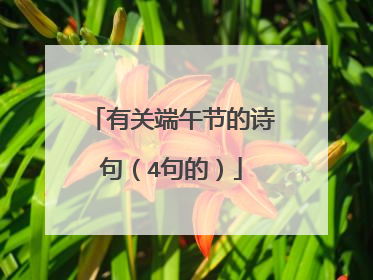 有关端午节的诗句(4句的)