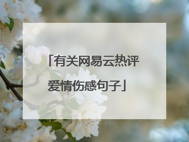 有关网易云热评爱情伤感句子