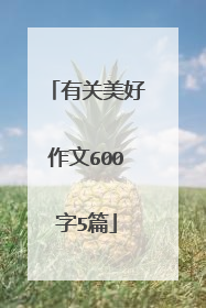 有关美好作文600字5篇