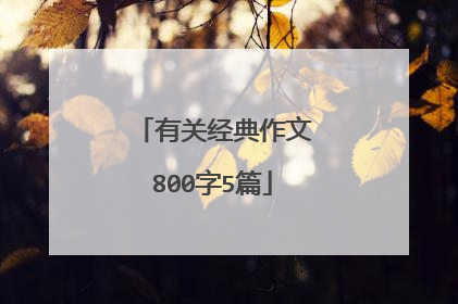 有关经典作文800字5篇