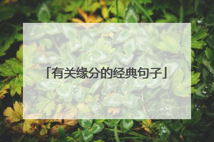 有关缘分的经典句子