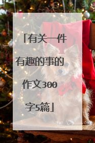 有关一件有趣的事的作文300字5篇