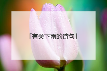 有关下雨的诗句