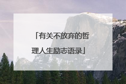 有关不放弃的哲理人生励志语录