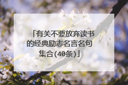 有关不要放弃读书的经典励志名言名句集合(40条)
