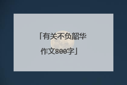有关不负韶华作文800字