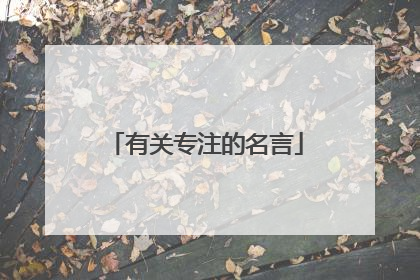 有关专注的名言