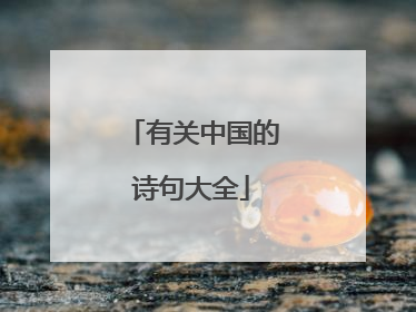 有关中国的诗句大全