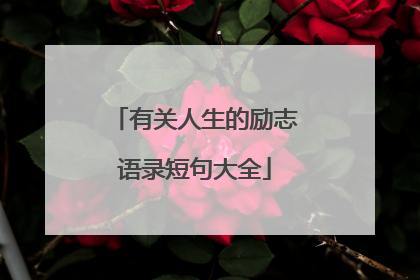 有关人生的励志语录短句大全