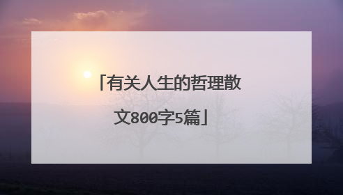 有关人生的哲理散文800字5篇