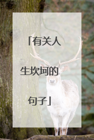 有关人生坎坷的句子