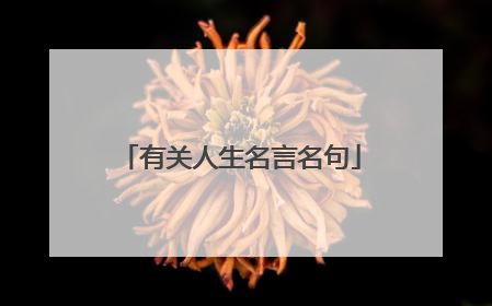 有关人生名言名句