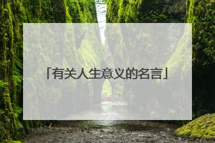 有关人生意义的名言