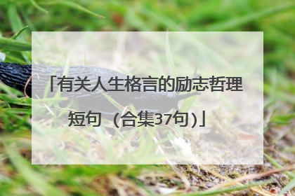 有关人生格言的励志哲理短句 (合集37句)