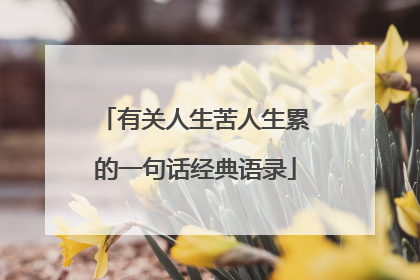 有关人生苦人生累的一句话经典语录